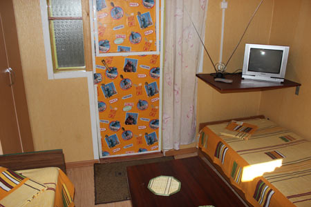 комната с телевизором лазаревское